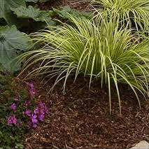 Sustainable Landscaping Materials